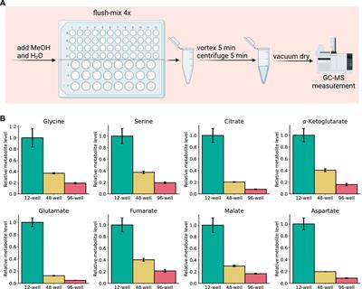 SiMeEx, a simplified method for metabolite extraction of adherent mammalian cells